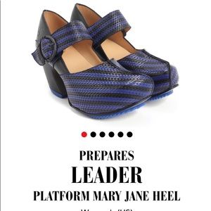 Barely Worn John Fluevog Mary Jane heels.